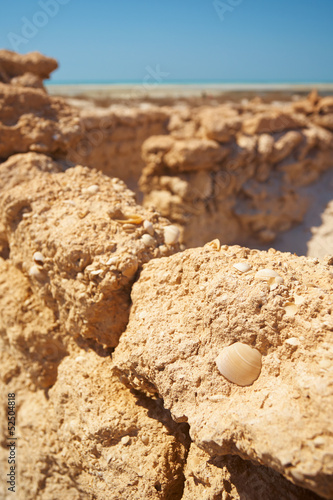 Photo: Ruins in Desert Ruins in Desert