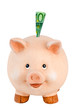 Freundliches lachendes Sparschwein mit 100 Euro