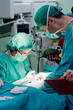 Photo: Surgery operation Surgery operation