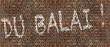 Du Balai!