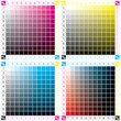 base stampa colori