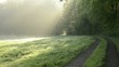 Video: dampfende Wiese am frühen Morgen dampfende Wiese am frühen Morgen