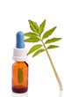 valerian homeopathic herb as liquid in a bottle