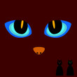 cat eye on a dark background vector illustration
