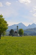 St.Coloman