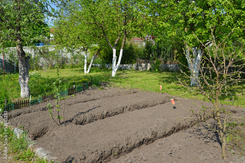 Photo: Garden section in the spring Garden section in the spring