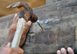 Worker nailed with a hammer wooden floor