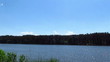 River panorama with the wood
