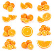Set of orange isolated