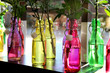 Flowers in the vivid bottles