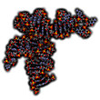 Transfer RNA (tRNA, Leucyl-tRNA) molecule