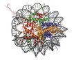 Nucleosome, molecular model.