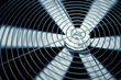 Fan.