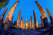 Sukhothai Historical Park Thailand Sunrise