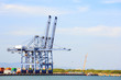 Big Industrial Port
