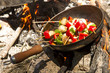Brochette al disco de pollo, verduras, morron, cebolla chmpignon