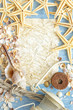 Sea shells