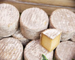 produit laitier fromage