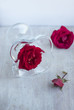 scarlet roses and glass beaker on the light table top