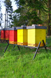 Beehives