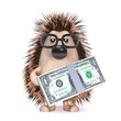Cute hedgehog with dollars to spend