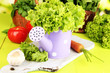 Fresh herb in watering can on wooden table on natural