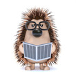 Cute hedgehog reads the news