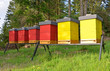 Beehives
