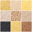 collage of nine kinds of cereals and legumes