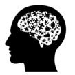 puzzle cerveau
