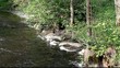 Hiker in the woods by the river/episode2/
