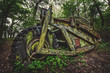 machine in woods