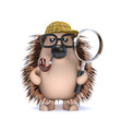 Cute hedgehog looks for clues