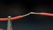 Soldering two Copper Wires Together