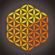 Flower of Life Cube ( Blume des Lebens Würfel )