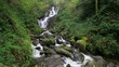 Video: Torc waterfall in Killarney National Park, Co. Kerry, Ireland Torc waterfall in Killarney National Park, Co. Kerry, Ireland