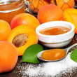 Foto: Aprikosenmarmelade Aprikosenmarmelade