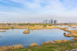 Cityscape with large water ecosystem near Bucharest