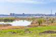 Cityscape with swamps