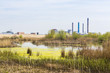 Industrial suburbs with smokestacks near large water ecosystem.