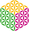 Flower of Life Cube ( Blume des Lebens Würfel )