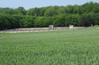 Photo: Normandie, the cemetery of Radepont Normandie, the cemetery of Radepont