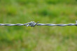 horizontal picture of barbed wire in meadow