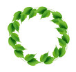 Green Leaves Frame