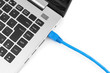 Network cable to connect the network to the laptop. View from ab
