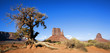 Photo: Panoramic view of Monument Valley and tree Panoramic view of Monument Valley and tree