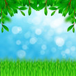 Green leaves and grass on the sky background