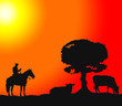 Vaquero y vacas