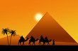 Chameaux Egypte
