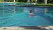 Young man swimming in the pool, super slow motion